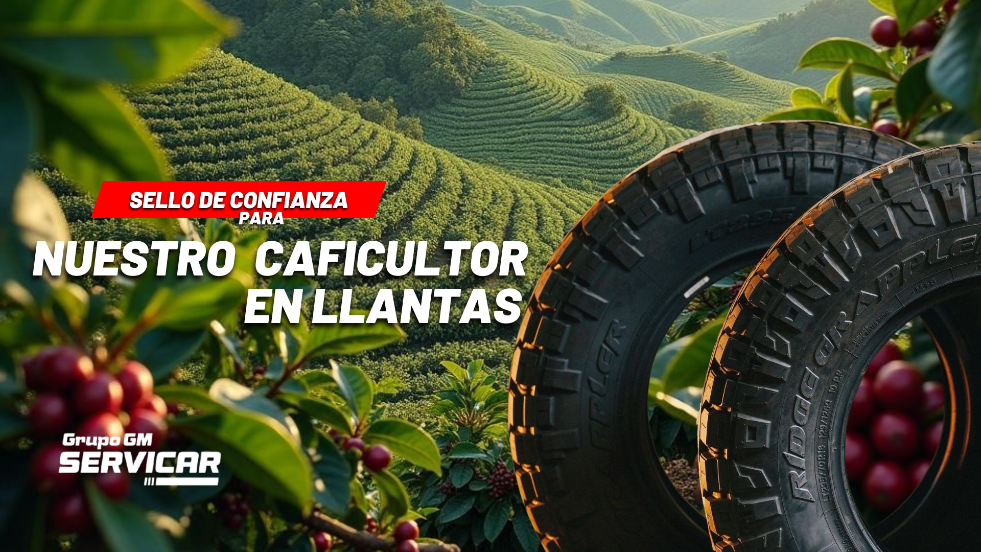 Grupo GM SERVICAR - Venta de Llantas